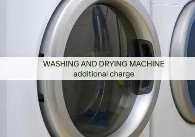 a washing machine with the words washing and drying machine additional charge at Villa Lapis in Črni Kal
