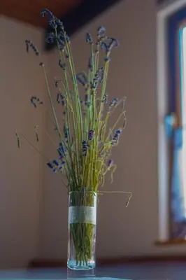 a vase filled with blue flowers sitting on a table at Apartma med vinogradi in Ljutomer