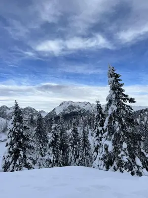 a snow covered pine tree on top of a mountain at Chalet Orlica Velika Planina in Stahovica