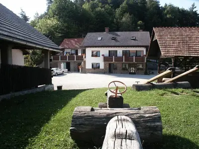 a yard with a log with a house in the background at Pri Lazarju Farm Stay in Podgrad