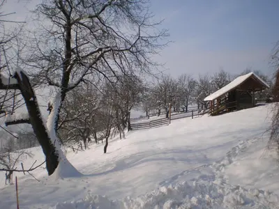 a snow covered slope with a cabin in the background at Pri Lazarju Farm Stay in Podgrad