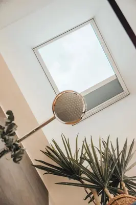 a mirror hanging on a ceiling next to a plant at NA Apartments in Maribor