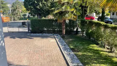 a garden with a palm tree and a brick walkway at MADONCA ROOMS & RESTAURANT in Nova Gorica