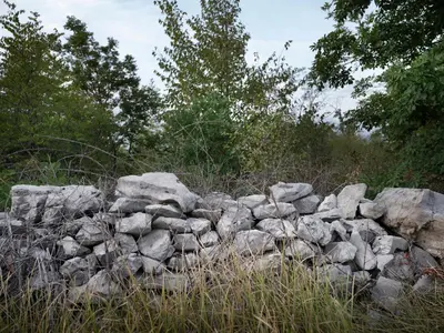 a pile of rocks in a field with trees at House Wisteria in Kostanjevica na Krasu