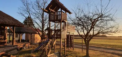 a playground with a slide and a tree at Apartma, glamping Na koncu vasi in Ljutomer