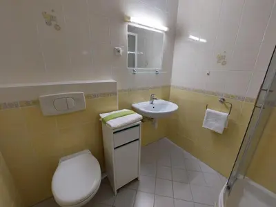 a bathroom with a toilet and a sink at Apartma TiJa in Moravske Toplice