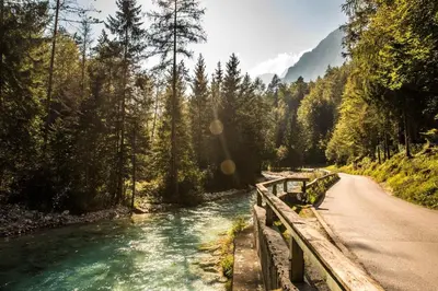 a road next to a river next to a forest at Nature Lover's Paradise in Julian Alps in Mojstrana
