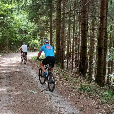 two people riding bikes on a dirt trail in the woods at Apartmaji Pr Smolet in Škofja Loka