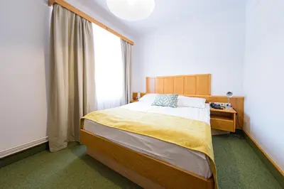 a bedroom with a large bed and a window at Hotel Toplice - Terme Krka in Smarjeske Toplice