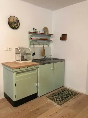 a kitchen with a stove and a sink at Juvanova hiša (all house) in Luče