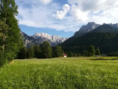 a field of green grass with mountains in the background at House Nordika in Rateče