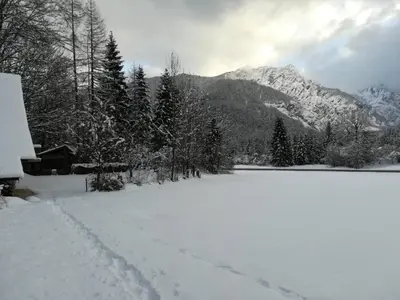 a snow covered field with trees and a mountain at House Nordika in Rateče