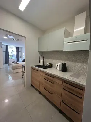 a kitchen with a sink and a counter top at Apartma Darsi in Ajdovščina