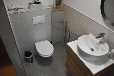 a bathroom with a white toilet and a sink at Apartma Darsi in Ajdovščina