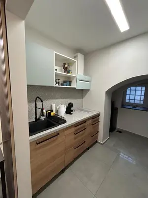 a kitchen with wooden cabinets and a sink at Apartma Darsi in Ajdovščina