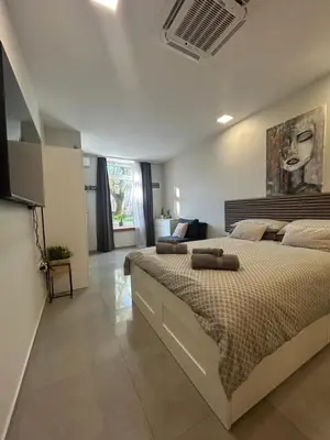 a bedroom with a large bed in a room at Apartma Darsi in Ajdovščina