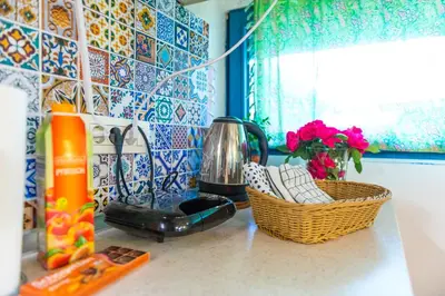 a kitchen counter with a blender and a basket of flowers at Boho House 4 camp Terme Catez with promotional tickets prices in Čatež ob Savi