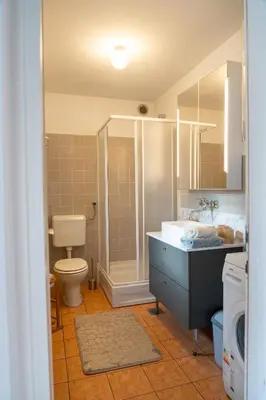 a bathroom with a shower and a sink and a toilet at Spa House Blue Lagoon in Terme Čatež in Čatež ob Savi