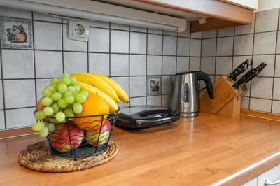 a basket of fruit on a counter in a kitchen at Spa House Blue Lagoon in Terme Čatež in Čatež ob Savi