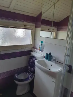 a small bathroom with a toilet and a sink at Spa Cottage Lavender in Terme Čatež in Čatež ob Savi