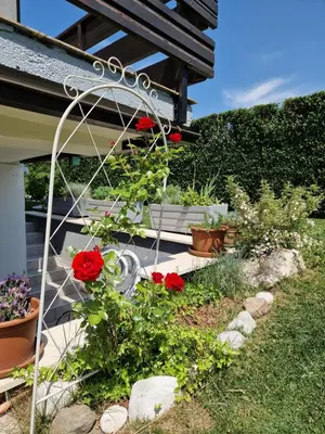 a garden with red roses on a porch at Apartment by Tanja&Nejc in Bled
