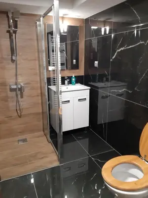 a bathroom with a shower with a toilet and a sink at Apartment by Tanja&Nejc in Bled