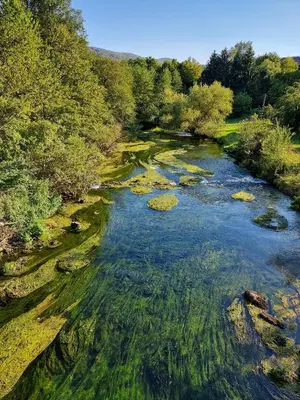 an aerial view of a river with rocks and trees at Krka River Lodge in Krka