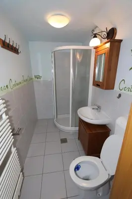 a bathroom with a toilet and a shower and a sink at Krka River Lodge in Krka