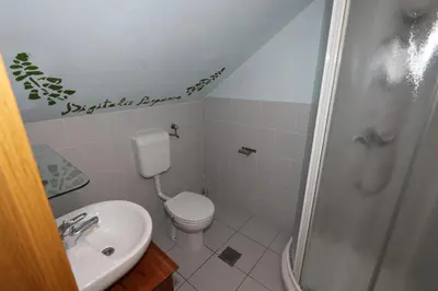 a bathroom with a toilet and a shower and a sink at Krka River Lodge in Krka