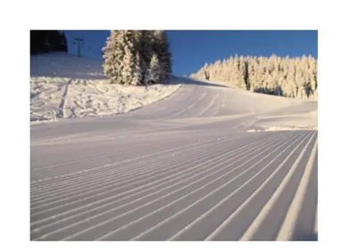 a snow covered slope with tracks in the snow at Apartma A1 GOLTE in Mozirska Koča