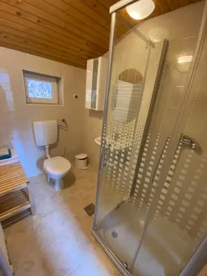 a bathroom with a shower and a toilet at Apartma Regina in Slovenj Gradec