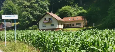 a house in the middle of a field of corn at Apartma Regina in Slovenj Gradec