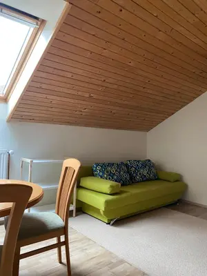 a living room with a green couch and a wooden ceiling at Apartma Regina in Slovenj Gradec