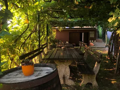 a picnic table with benches sitting under a tree at Adorable guesthouse in the middle of vineyards in Ptujska Gora