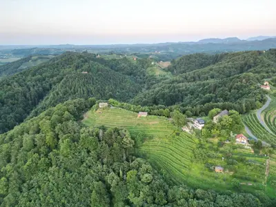 an aerial view of a farm in the middle of a forest at Adorable guesthouse in the middle of vineyards in Ptujska Gora