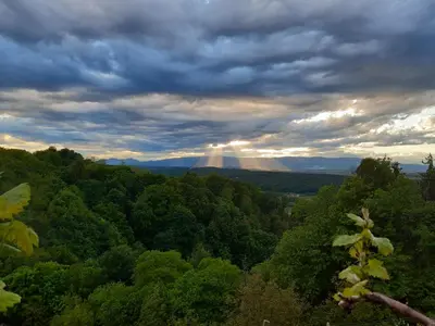 a rainbow in the sky over a forest of trees at Adorable guesthouse in the middle of vineyards in Ptujska Gora