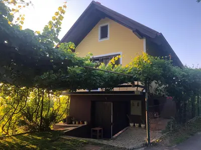 a house with a lot of trees in front of it at Adorable guesthouse in the middle of vineyards in Ptujska Gora
