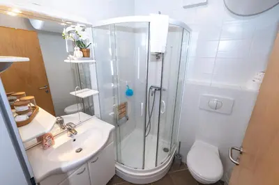 a bathroom with a shower and a toilet and a sink at Rakita Premium Family Suite in Moravske Toplice