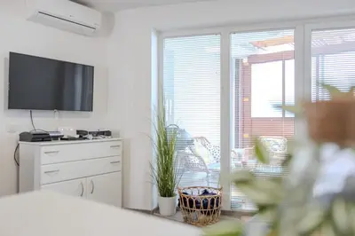a bedroom with a television and a dresser with a plant at Rakita Premium Family Suite in Moravske Toplice