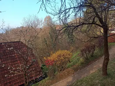 a view of a garden with a bench and trees at Serenity in Dramlje