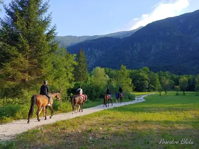 a group of people riding horses down a road at APARTMA KAAN in Žaga