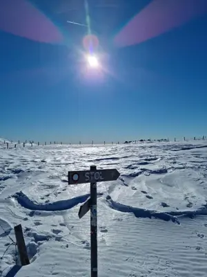 a street sign in the middle of a snow covered field at APARTMA KAAN in Žaga