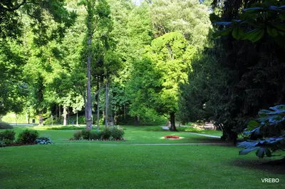 a park with green grass and trees and a path at Apartma VRBA Dobrna in Dobrna