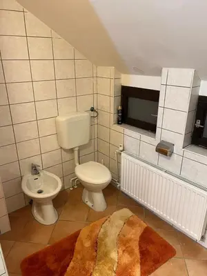 a bathroom with a toilet and a sink at Apartma Anastasija in Kranjska Gora