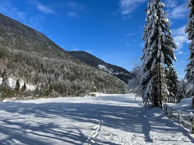 a snow covered field with a tree in the foreground at Apartma Anastasija in Kranjska Gora