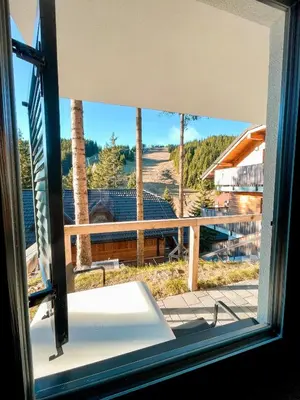 a window with a view of a beach and palm trees at Sunshine Apartments Golte - Sauna in Mozirje