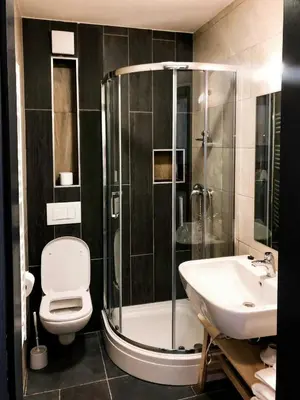 a bathroom with a shower and a toilet and a sink at Sunshine Apartments Golte - Sauna in Mozirje