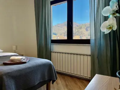 a bedroom with a window and a bed with a blanket at All Seasons Apartments Laško in Laško