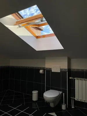 a bathroom with a toilet and a skylight at All Seasons Apartments Laško in Laško