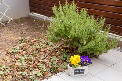 a potted plant and flowers in a garden at Apartment Lakeside Cerknica in Cerknica